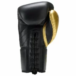 Evolution Lace Up Boxing Gloves - MMA Factory -MMA FACTORY Shop Evolution BG Lace 2 1 pdf