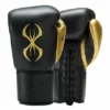 Evolution Lace Up Boxing Gloves - MMA Factory -MMA FACTORY Shop Evolution BG Lace pdf