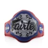 Fairtex Triple Champ Microfiber Belly Pad - BPV3 - MMA Factory -MMA FACTORY Shop ad0cfb299c7fe92e0668b98f7461649a24d5b3bf