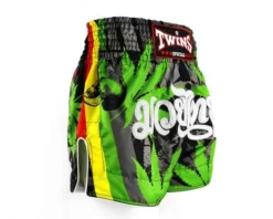 Twins Boxing Shorts - TBS-GRASS - MMA Factory 9 Twins Boxing Shorts - TBS-GRASS - MMA Factory -MMA FACTORY Shop b2006f383712b6d4e825a56b5ea9da46 1 1