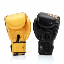 Fairtex Harmony Six Boxing Gloves -Bgv26 - MMA Factory -MMA FACTORY Shop bgv26 chinese gloves website 06 5 1