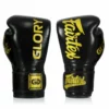 Fairtex BGVG1 Boxing Gloves - MMA Factory