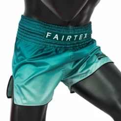Fairtex Muay Thai Shorts-BS1906 - MMA Factory -MMA FACTORY Shop bs1906 website 4