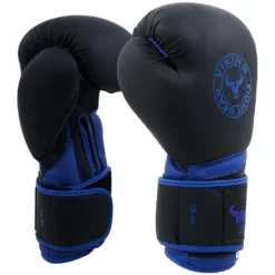 Viking Eternal Boxing Gloves - MMA Factory