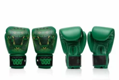 Fairtex Resurrection Boxing Gloves - MMA Factory -MMA FACTORY Shop fairtex aztec gods gloves 06 1 1