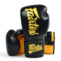 Fairtex BGV18 Boxing Gloves - MMA Factory