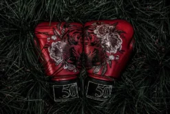 Fairtex Golden Jubilee - Bgvprem - MMA Factory -MMA FACTORY Shop fx bgvprem 12 4 1