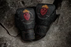 Fairtex "Heart Of A Warrior" Limited Edition Boxing Gloves - MMA Factory -MMA FACTORY Shop pack shot2 1024x1024 2