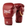 Everlast MX2 Training Glove - Velcro - MMA Factory