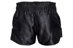 Viking Stripe Muay Thai Shorts - MMA Factory -MMA FACTORY Shop whatsapp image 2020 11 01 at 3.19.52 pm 1